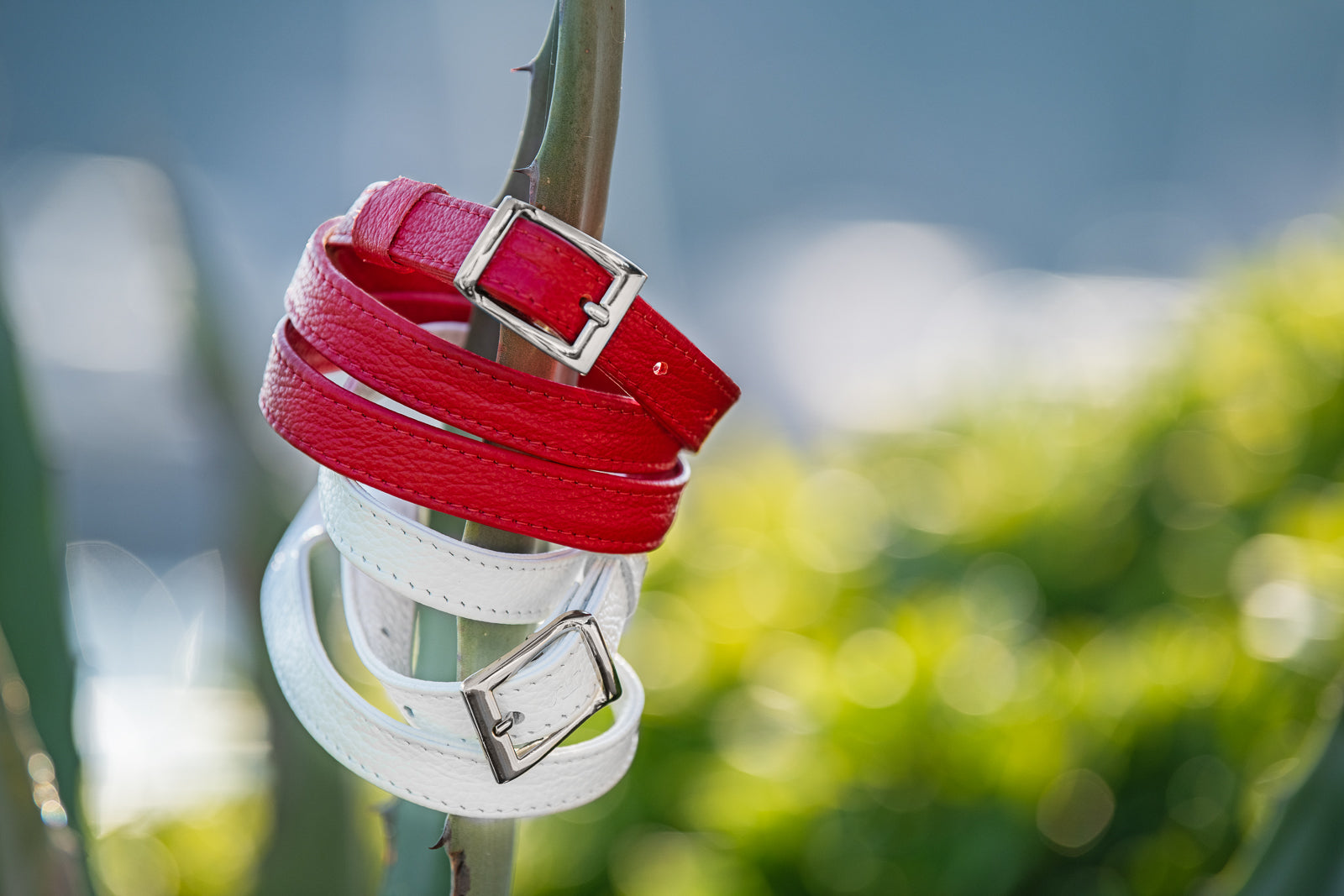 Red and white leather belts with silver buckles on a blurred natural background