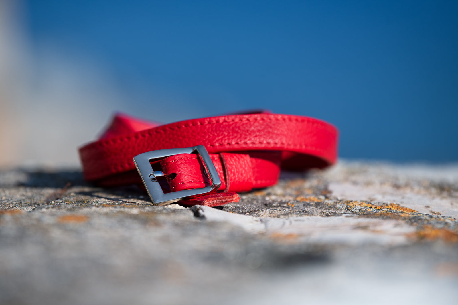 Red belt with a silver buckle on a textured surface with a blurred blue background